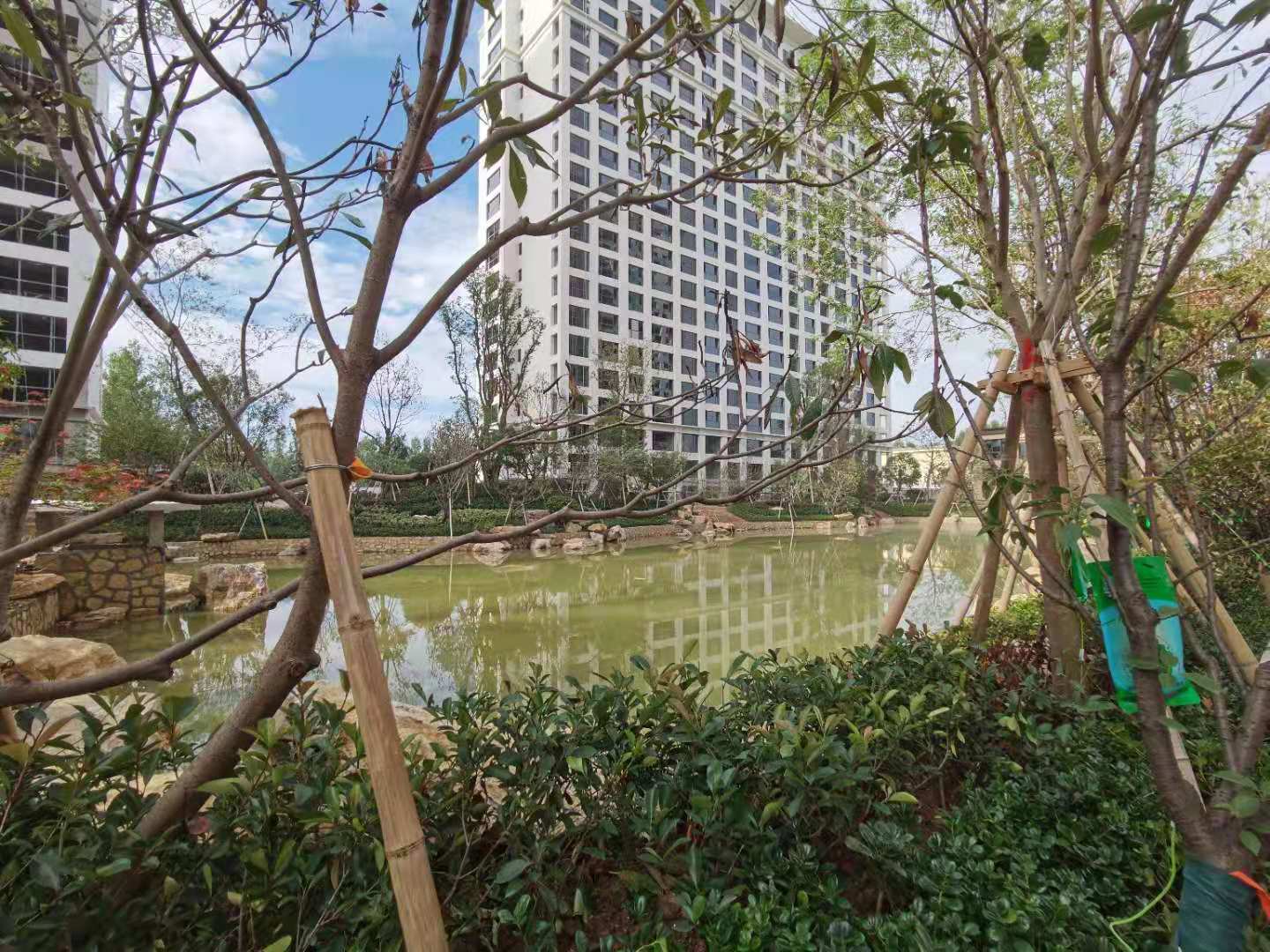 实景图